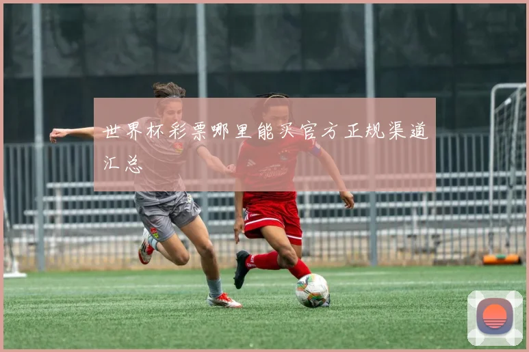 世界杯彩票哪里能买官方正规渠道汇总