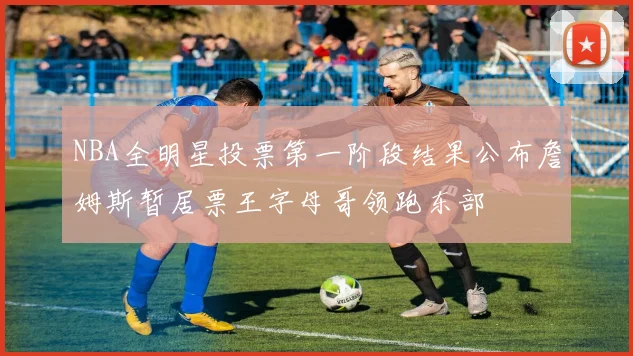 NBA全明星投票第一阶段结果公布詹姆斯暂居票王字母哥领跑东部