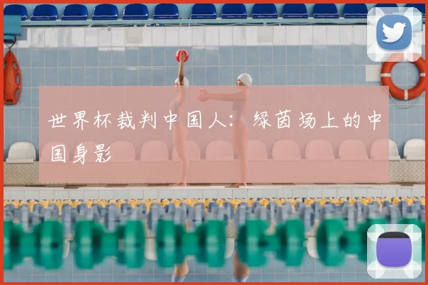 世界杯裁判中国人：绿茵场上的中国身影