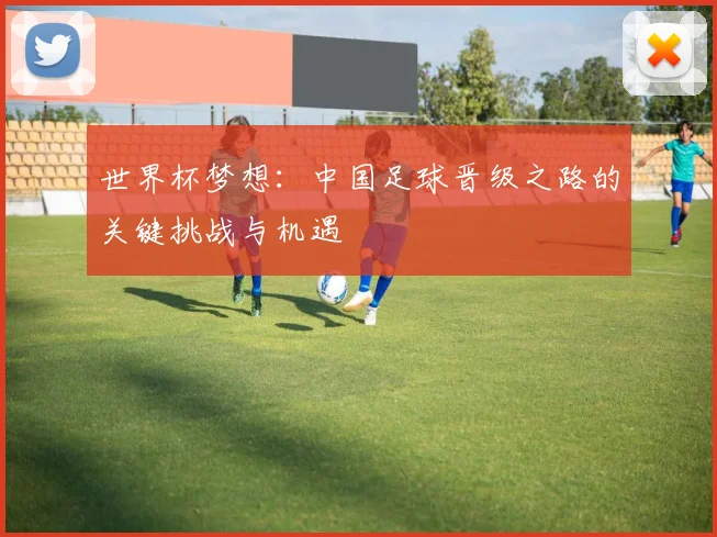 世界杯梦想：中国足球晋级之路的关键挑战与机遇