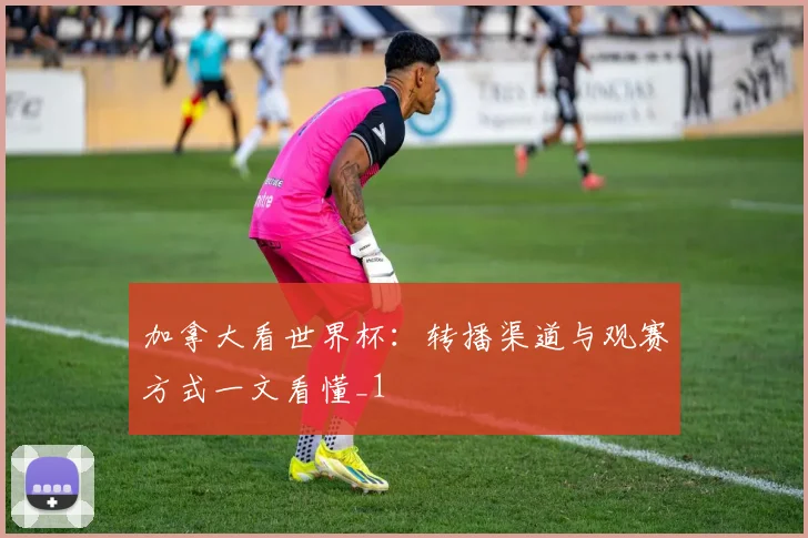 加拿大看世界杯：转播渠道与观赛方式一文看懂_1