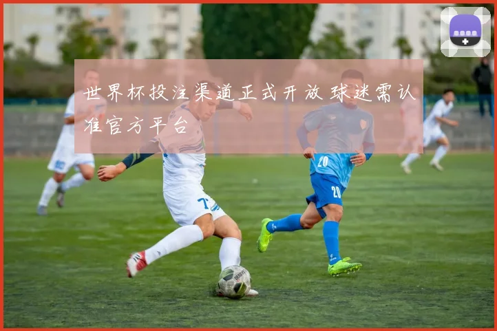 世界杯投注渠道正式开放 球迷需认准官方平台