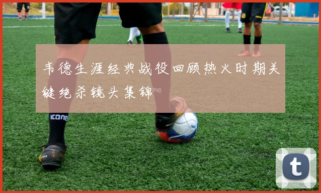 韦德生涯经典战役回顾热火时期关键绝杀镜头集锦