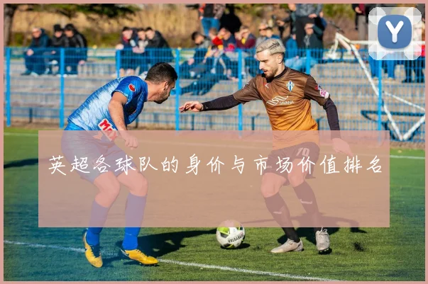 英超各球队的身价与市场价值排名