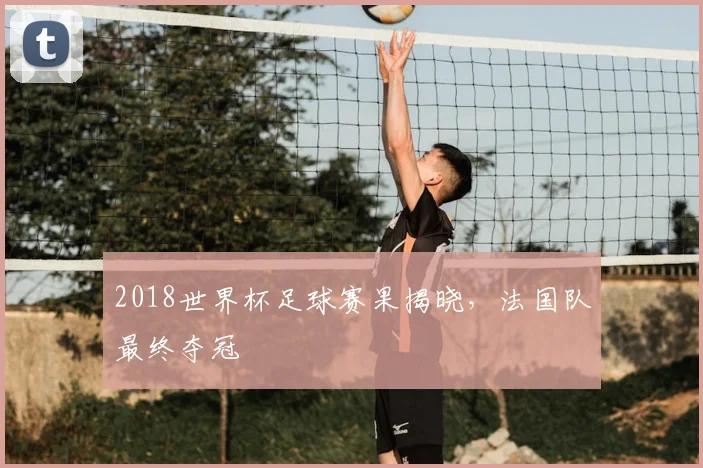 2018世界杯足球赛果揭晓,法国队最终夺冠