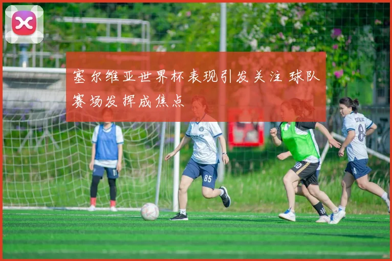 塞尔维亚世界杯表现引发关注 球队赛场发挥成焦点